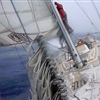 Foto Clipper Round the World Race