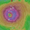 Zdroj Windy