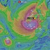 Zdroj Windy