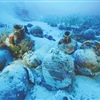 Foto Hellenic Ephorate of Underwater Antiquities