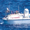 Foto Yanmar