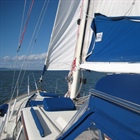 Proč nejde zarolovat gena