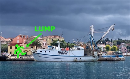 Zloději ryb, facka od žraloka a jachting pilířem hospodářství