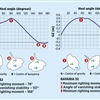 Zdroj Understand your boat and her statistics, Nigel Calder, Chris Beeson