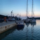 V Lovišti bez výběrčího?