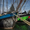 Foto Pavel Nesvadba/sailingphotogallery.com	