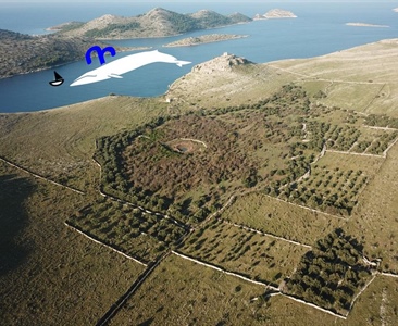Velryba na Kornatech