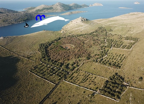 Velryba na Kornatech