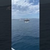 Zdroj Youtube Zadarski list