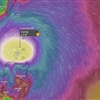 Zdroj Windy