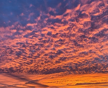 Divočáci vystřídali jachtaře, mrtvý Čech u Biogradu a lovci neloví sběrače oliv