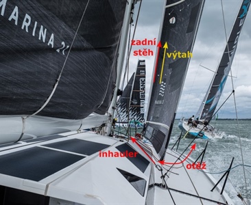 Trimování jednoduše - kosatka