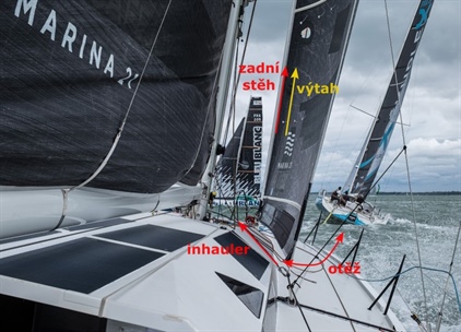 Trimování jednoduše - kosatka