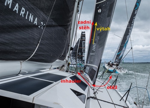 Trimování jednoduše - kosatka