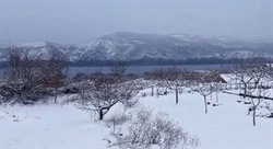 Sníh na plážích Jadranu