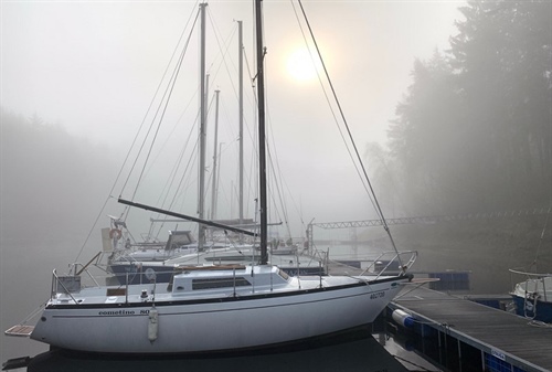 Strategie plavby mlze