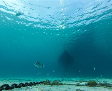 Musí mít kotevní řetěz 1,5 metráku?