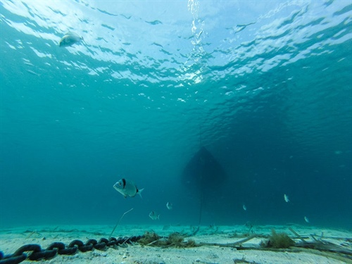 Musí mít kotevní řetěz 1,5 metráku?