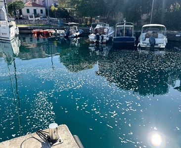 Je sobota, mycí den…