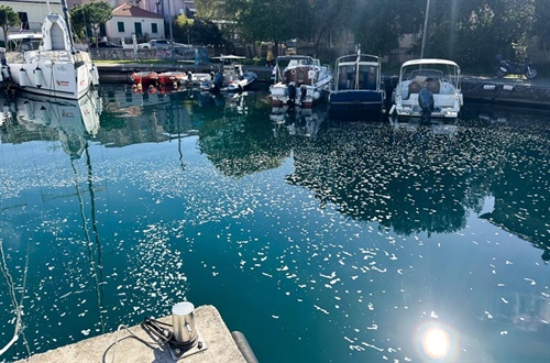 Je sobota, mycí den…