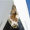 Foto Boatsafe