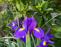 Foto Daniel Vodička