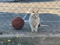 Foto Daniel Vodička