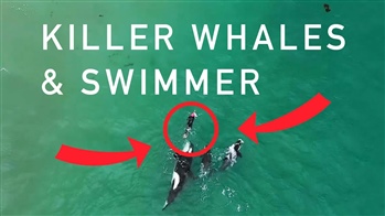 Znepokojující okamžiky