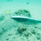 Přednáška Jak bezpečně kotvit 5.5.2026