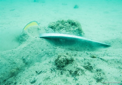 Přednáška Jak bezpečně kotvit 5.5.2026